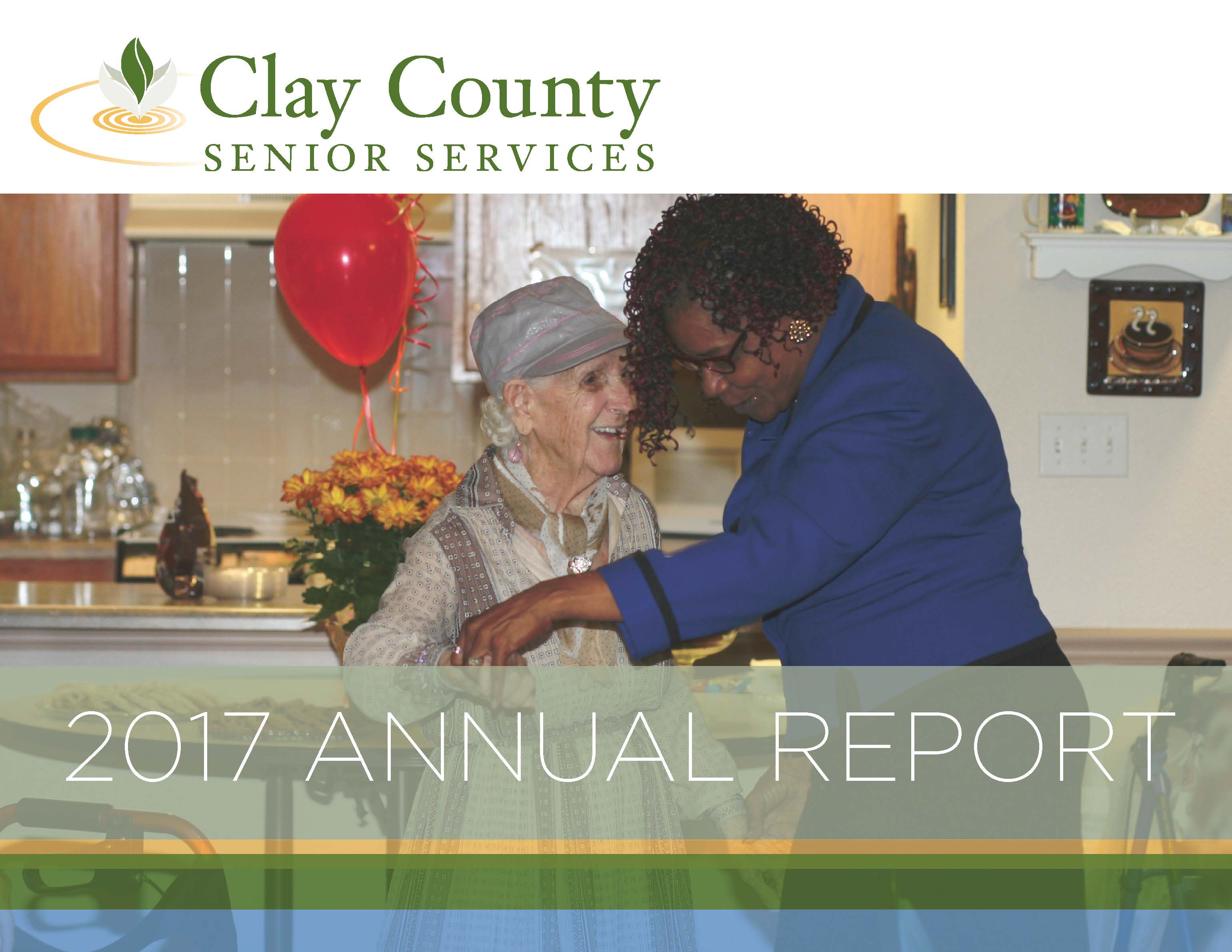 Annual Report 2017